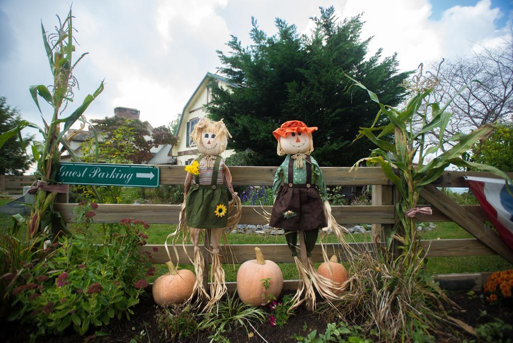 Antietam Overlook Farm Rohrersville 외부 사진